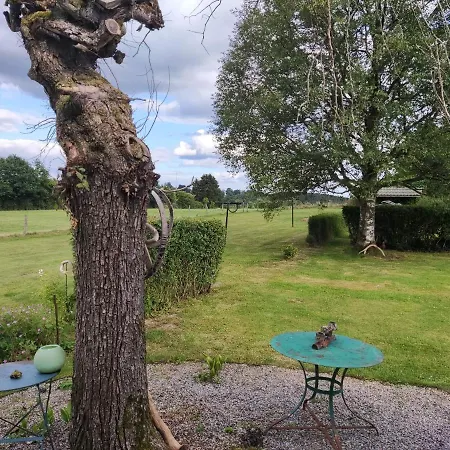 Daire Voitures Et Nature
